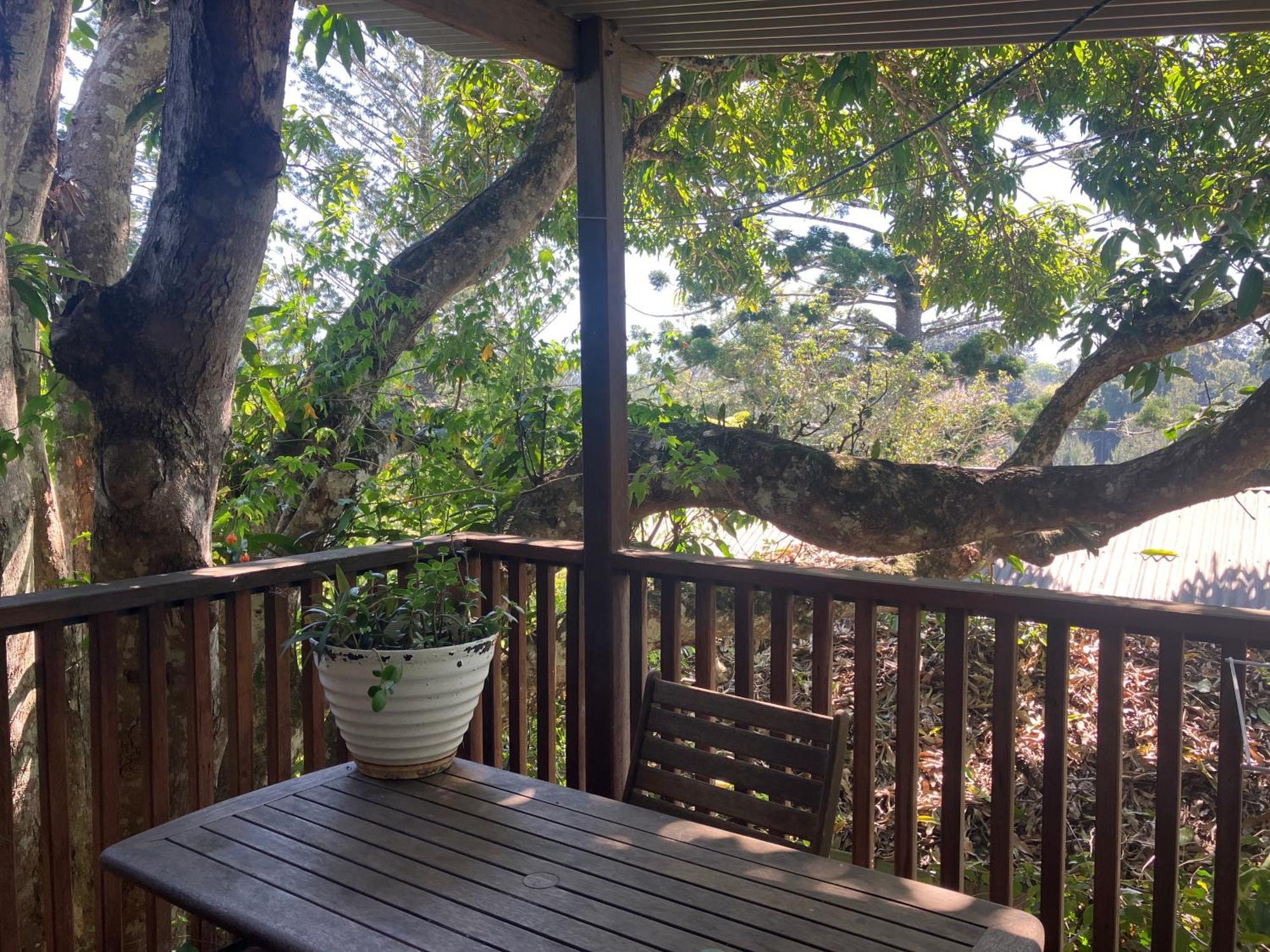 Potters Cottage 贝林真 外观 照片
